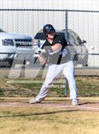 Photo from the gallery "Marshall @ Cotter"