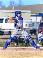 Photo from the gallery "Marshall @ Cotter"