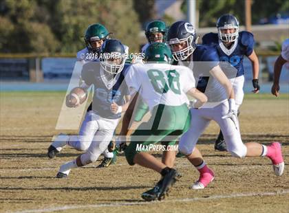 Thumbnail 1 in Moorpark @ Camarillo photogallery.