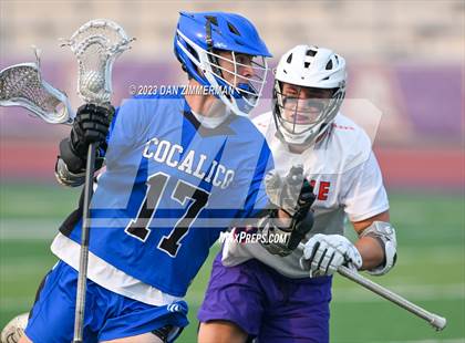 Thumbnail 2 in Danville vs. Cocalico (PIAA Class AA First Round) photogallery.