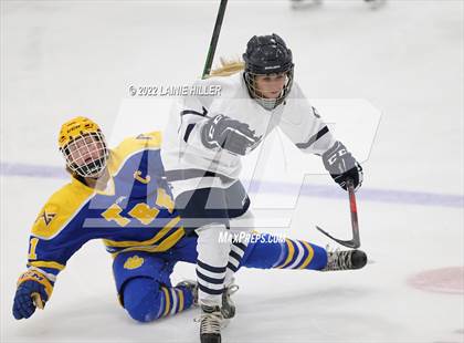 Thumbnail 1 in Thief River Falls @ Bemidji photogallery.