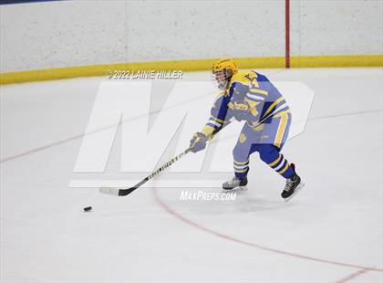 Thumbnail 2 in Thief River Falls @ Bemidji photogallery.