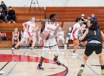 Thumbnail 1 in Monte Vista vs. Amador Valley (CIF NCS D1 1st Round) photogallery.