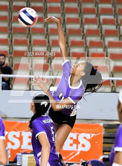 Thumbnail 1 in Horizon vs. Millennium (AIA 5A Final)   photogallery.