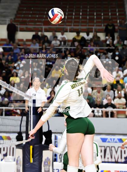 Thumbnail 2 in Horizon vs. Millennium (AIA 5A Final)   photogallery.