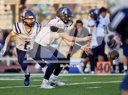 Thumbnail 3 in JV: Amador @ Rosemont photogallery.