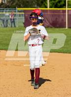 Photo from the gallery "Pine Bush @ Kingston"