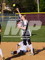 Photo from the gallery "Pine Bush @ Kingston"