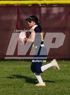 Photo from the gallery "Pine Bush @ Kingston"