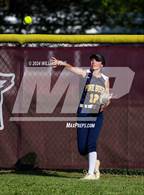 Photo from the gallery "Pine Bush @ Kingston"