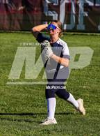 Photo from the gallery "Pine Bush @ Kingston"