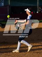 Photo from the gallery "Pine Bush @ Kingston"