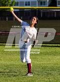 Photo from the gallery "Pine Bush @ Kingston"