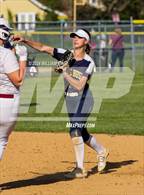 Photo from the gallery "Pine Bush @ Kingston"