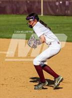 Photo from the gallery "Pine Bush @ Kingston"