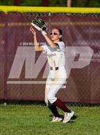 Photo from the gallery "Pine Bush @ Kingston"