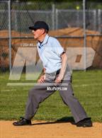 Photo from the gallery "Pine Bush @ Kingston"
