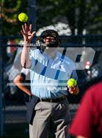 Photo from the gallery "Pine Bush @ Kingston"