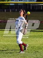 Photo from the gallery "Pine Bush @ Kingston"