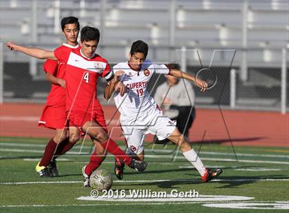 Thumbnail 1 in Saratoga @ Cupertino photogallery.
