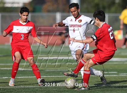 Thumbnail 1 in Saratoga @ Cupertino photogallery.