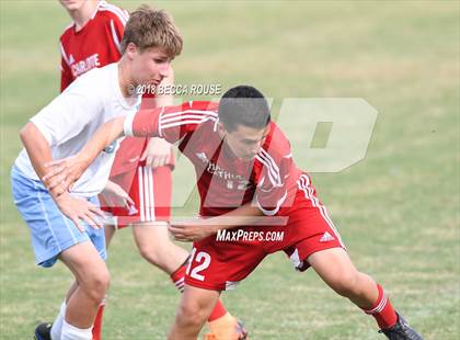 Thumbnail 2 in Piedmont @ Charlotte Catholic photogallery.