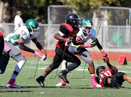 Thumbnail 3 in El Cerrito @ Salesian photogallery.
