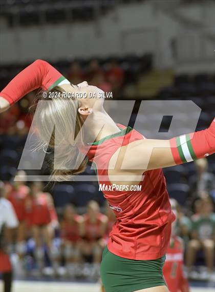 Thumbnail 1 in Cypress Ranch vs The Woodlands (UIL Volleyball 6A D1 Area) photogallery.