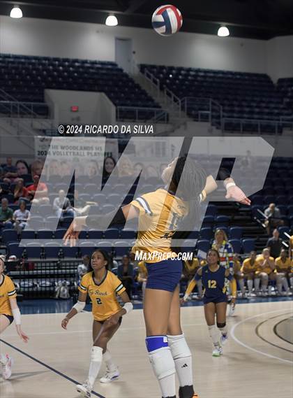 Thumbnail 1 in Cypress Ranch vs The Woodlands (UIL Volleyball 6A D1 Area) photogallery.