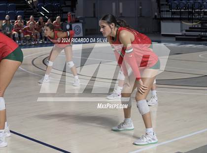 Thumbnail 1 in Cypress Ranch vs The Woodlands (UIL Volleyball 6A D1 Area) photogallery.