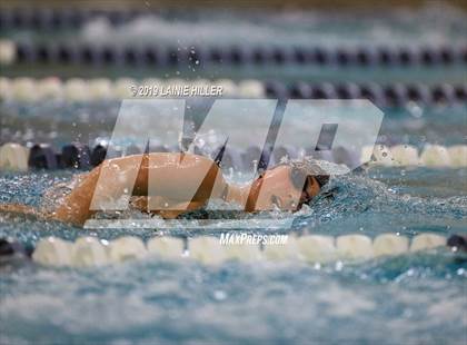 Thumbnail 2 in Bemidji vs Perham vs Thief River Falls photogallery.