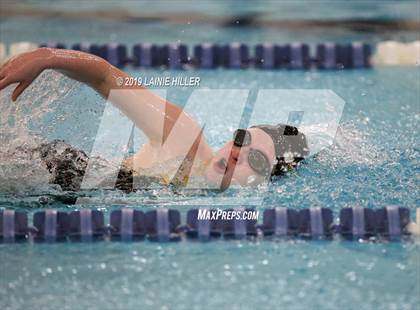 Thumbnail 1 in Bemidji vs Perham vs Thief River Falls photogallery.