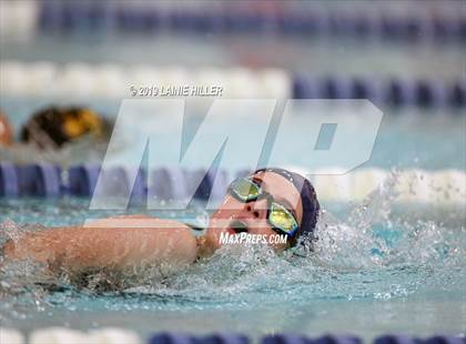 Thumbnail 3 in Bemidji vs Perham vs Thief River Falls photogallery.