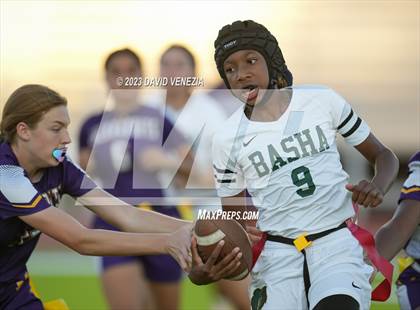 Thumbnail 3 in Basha @ Mesa photogallery.