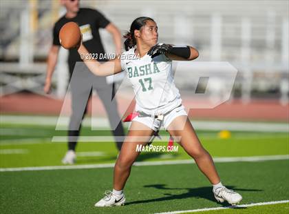 Thumbnail 1 in Basha @ Mesa photogallery.