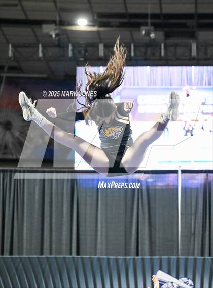 Thumbnail 3 in Saguaro - Stunt Game Day Championships (AIA Division III) photogallery.