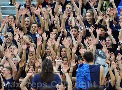 Thumbnail 1 in Viewpoint vs Windward (CIF SS D3AA Final) photogallery.