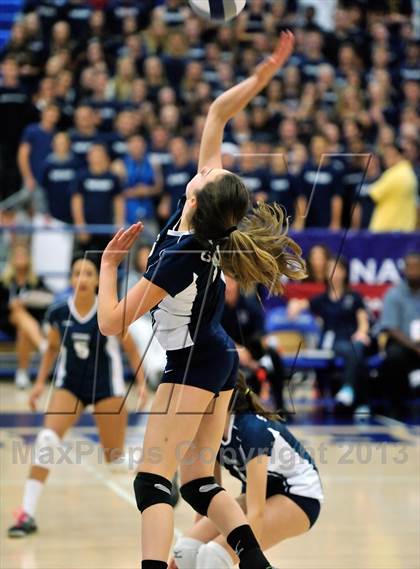 Thumbnail 2 in Viewpoint vs Windward (CIF SS D3AA Final) photogallery.