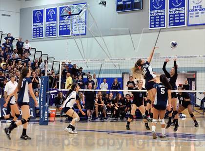 Thumbnail 1 in Viewpoint vs Windward (CIF SS D3AA Final) photogallery.