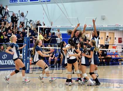 Thumbnail 2 in Viewpoint vs Windward (CIF SS D3AA Final) photogallery.