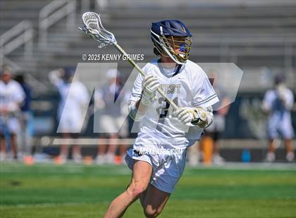 Thumbnail 2 in Lambert @ West Forsyth photogallery.