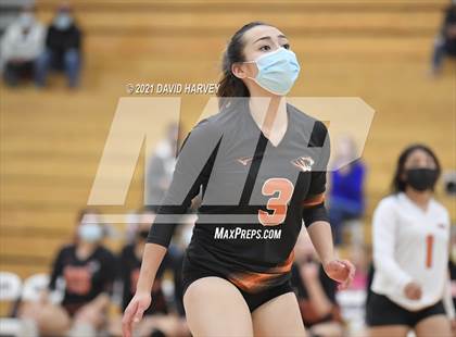 Thumbnail 3 in Lakewood @ Arvada West photogallery.