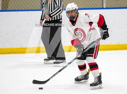 Thumbnail 2 in Bedford vs. Trinity (Manchester Christmas Tournament) photogallery.