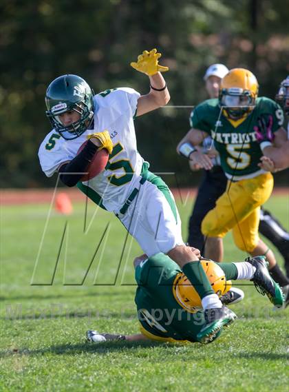 Thumbnail 1 in William Floyd @ Ward Melville photogallery.