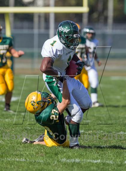 Thumbnail 1 in William Floyd @ Ward Melville photogallery.