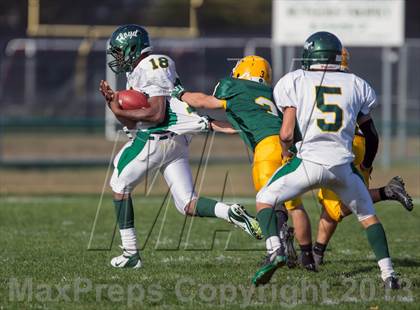 Thumbnail 3 in William Floyd @ Ward Melville photogallery.