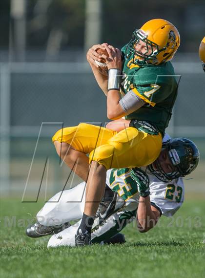 Thumbnail 3 in William Floyd @ Ward Melville photogallery.