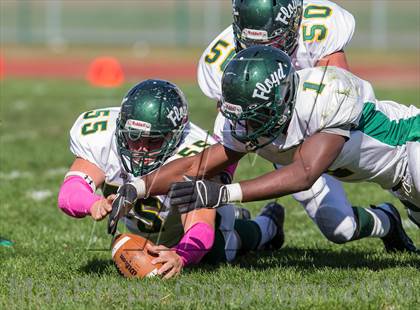 Thumbnail 1 in William Floyd @ Ward Melville photogallery.