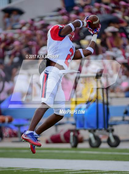 Thumbnail 1 in Lamar @ Houston Heights photogallery.