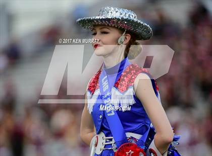 Thumbnail 3 in Lamar @ Houston Heights photogallery.